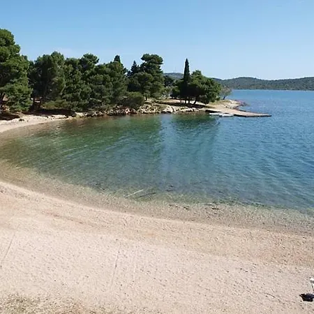 Lolic_pirovac